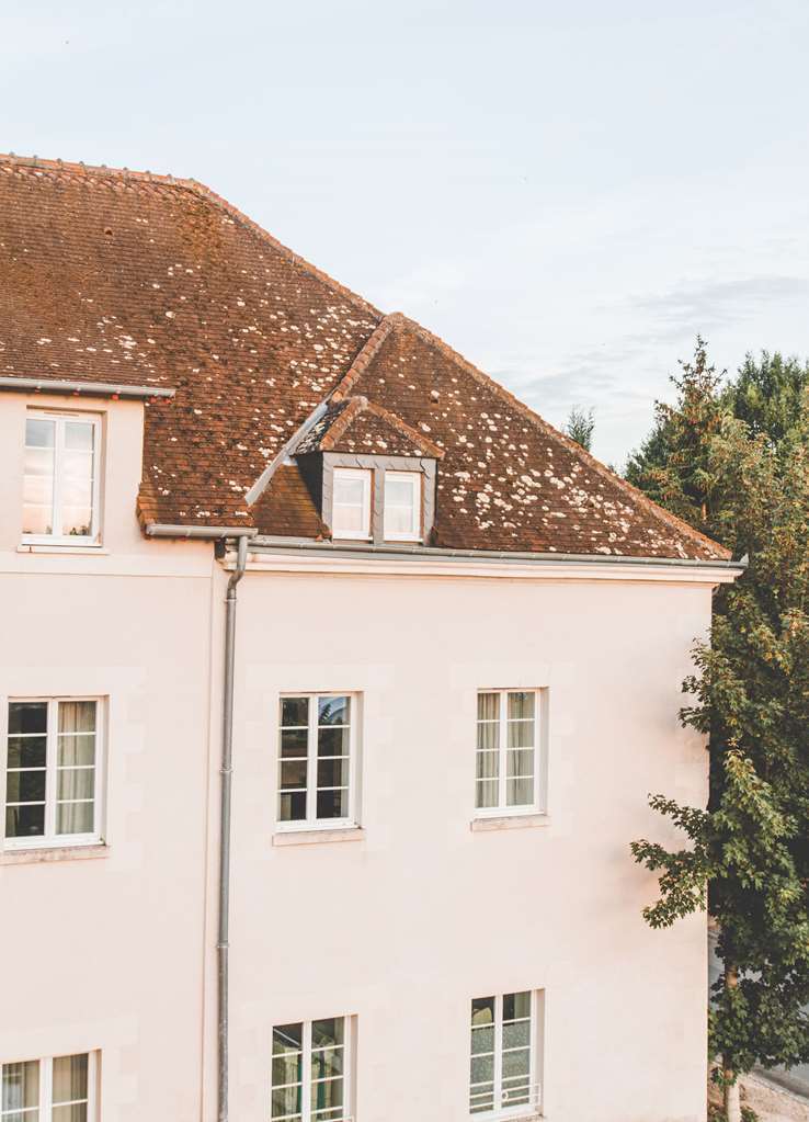 Terres De France - Appart'Hotel La Roche-Posay Esterno foto